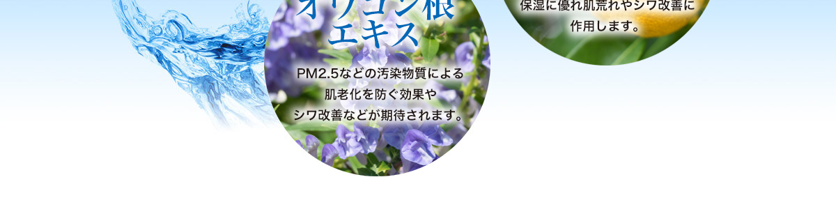 アロエエキス　保湿効果に優れ、肌荒れを予防してお肌をつるつるに導きます。